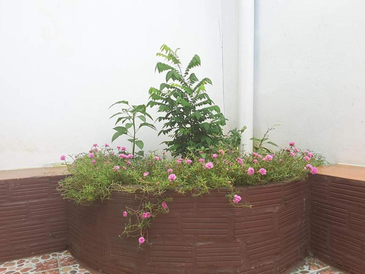 Army Barracks Guesthouse Vang Vieng Bagian luar foto